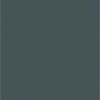 SFT_91006 Графит