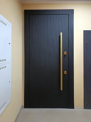 Дверь с длинной ручкой Дверь с длинной ручкой