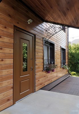 Дверь с металлобагетом и окном