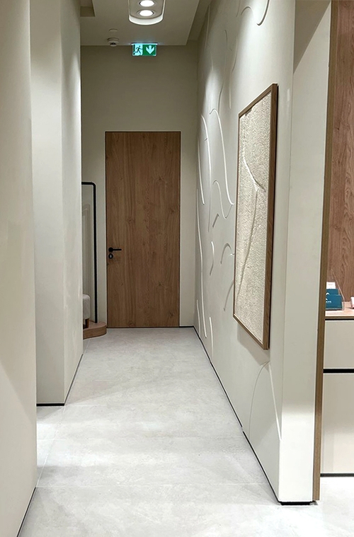 Противопожарная дверь со скрытыми петлями и отделкой HPL-пластик