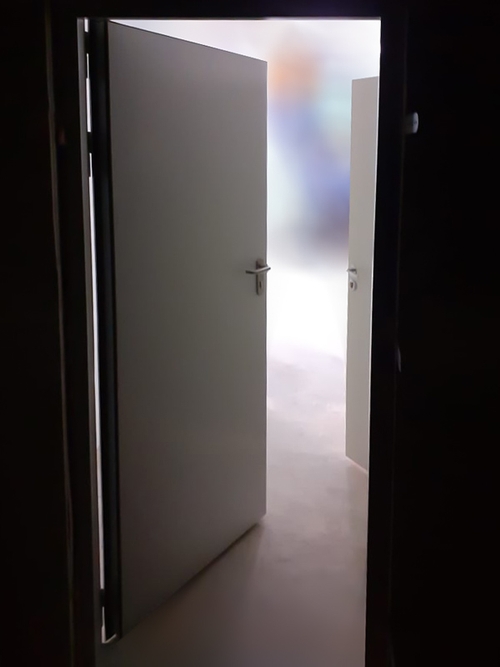 Дверь с внутренней стороны (балетная школа, пер. Каменная Слобода, 7) Дверь с внутренней стороны (балетная школа, пер. Каменная Слобода, 7)