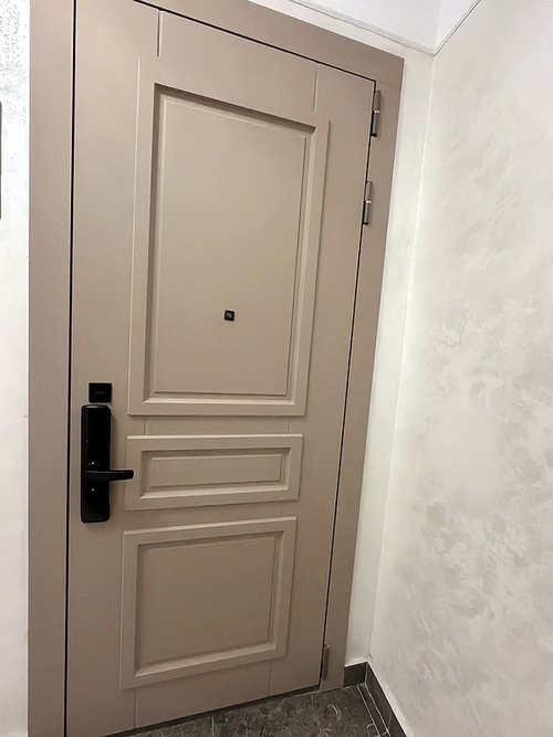 Дверь в квартиру с биометрическим замком Дверь в квартиру с биометрическим замком