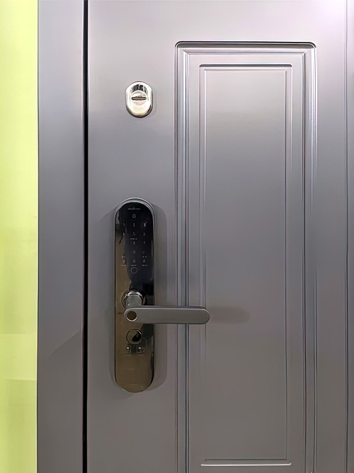 Электромеханический и сувальдный замок Электромеханический и сувальдный замок