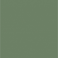 SFT_ZB 824 Фисташка