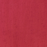 Клен птичий глаз 05.039