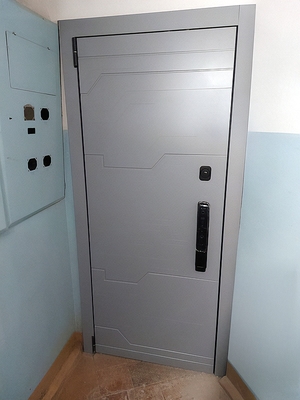 Квартирная дверь с зеркалом и умным замком