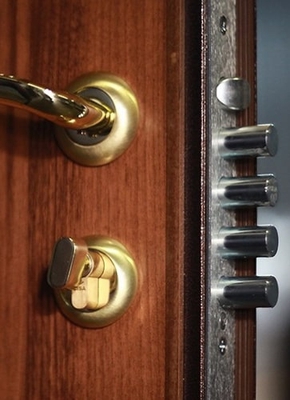 Что такое личинка замка в двери?