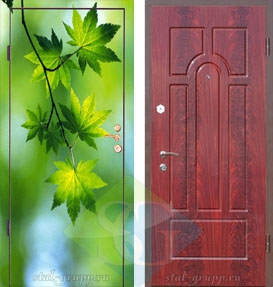 Дверь порошковое напыление с лаком с фотопленкой и МДФ (16 мм) влагостойкий Дверь порошковое напыление с лаком с фотопленкой и МДФ (16 мм) влагостойкий