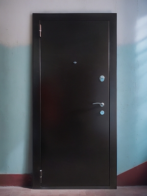 Порошковая дверь для квартиры