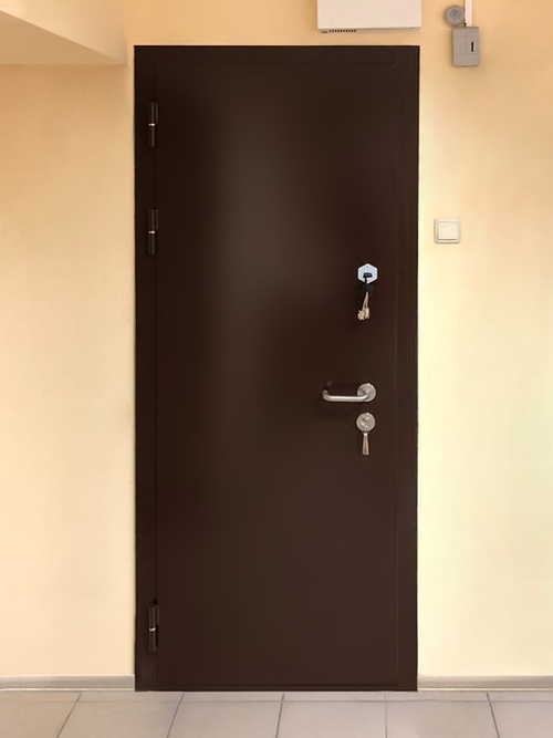 Техническая дверь (Каширское шоссе) Техническая дверь (Каширское шоссе)