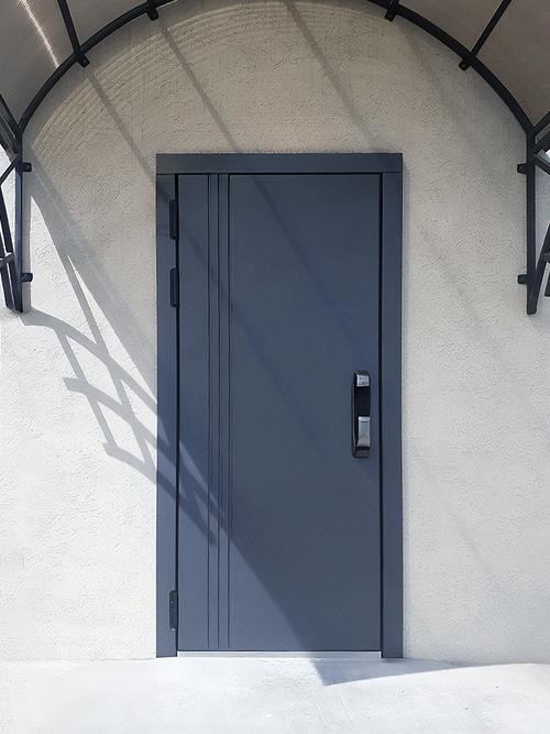 Уличная дверь с электронным замком Уличная дверь с электронным замком