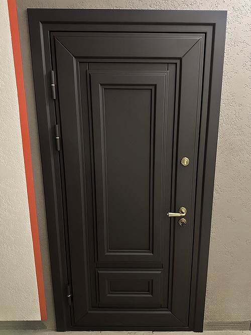 Входная дверь черного цвета Входная дверь черного цвета