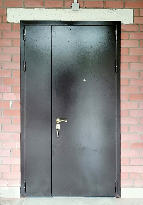 Внешняя сторона подъездной двери (г. Истра) Внешняя сторона подъездной двери (г. Истра)