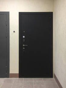 Дверь с порошковой отделкой Дверь с порошковой отделкой